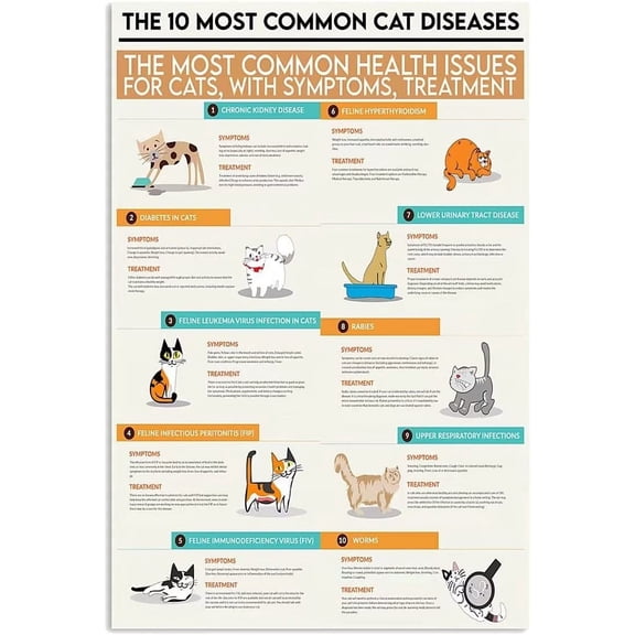 Veterinary Knowledge Metal Sign Vintage Pet Clinic Decor Plaque The 10 Most Common Cat Diseases Posters For Home Club Office Wall Decor Infographic 12x8 Inches