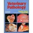 thumbnail image 1 of Veterinary Pathology (Paperback) by Ganti A. Sastry, 1 of 1