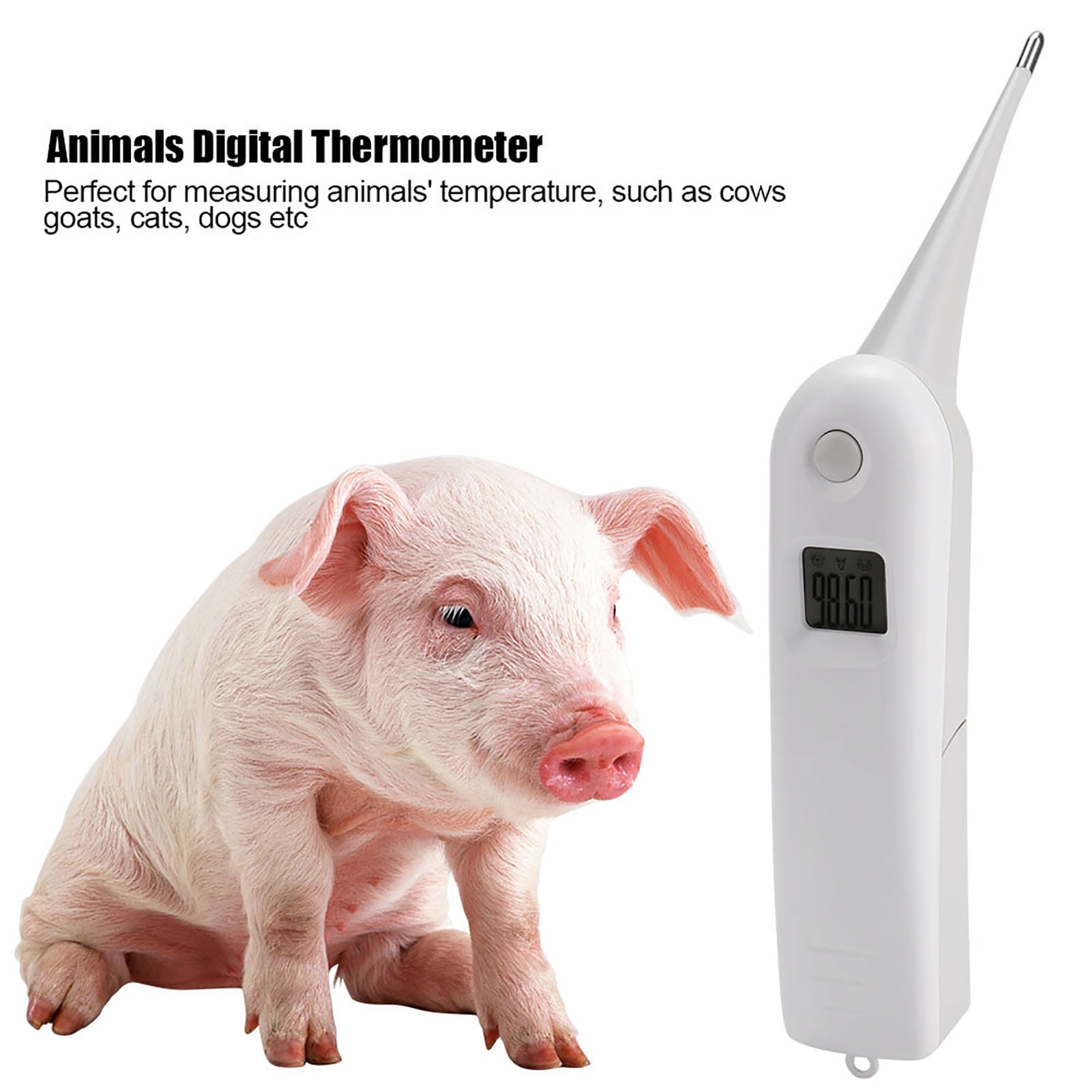 Veterinary Temperature Measurement Animal Thermometer Farm Animal