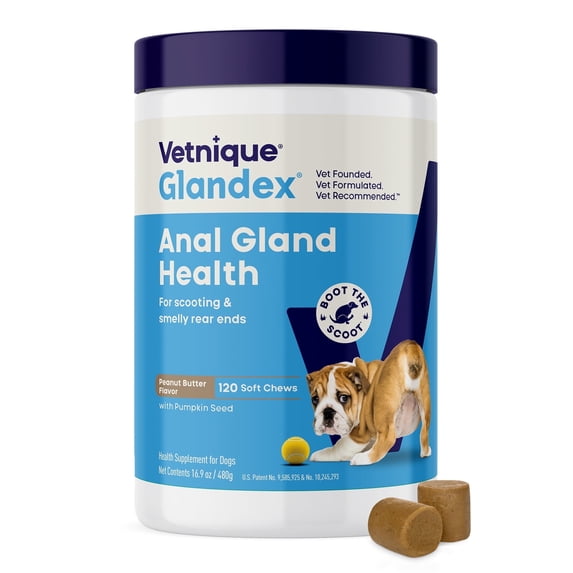Vetnique Labs Glandex Anal Gland Soft Chews, for All Dogs, Peanut Butter Flavored, 120 Count