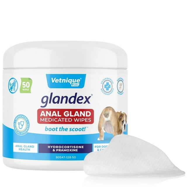 View of Expressing Your Dog's Anal Glands: A Step-by-Step Guide for Pet Owners