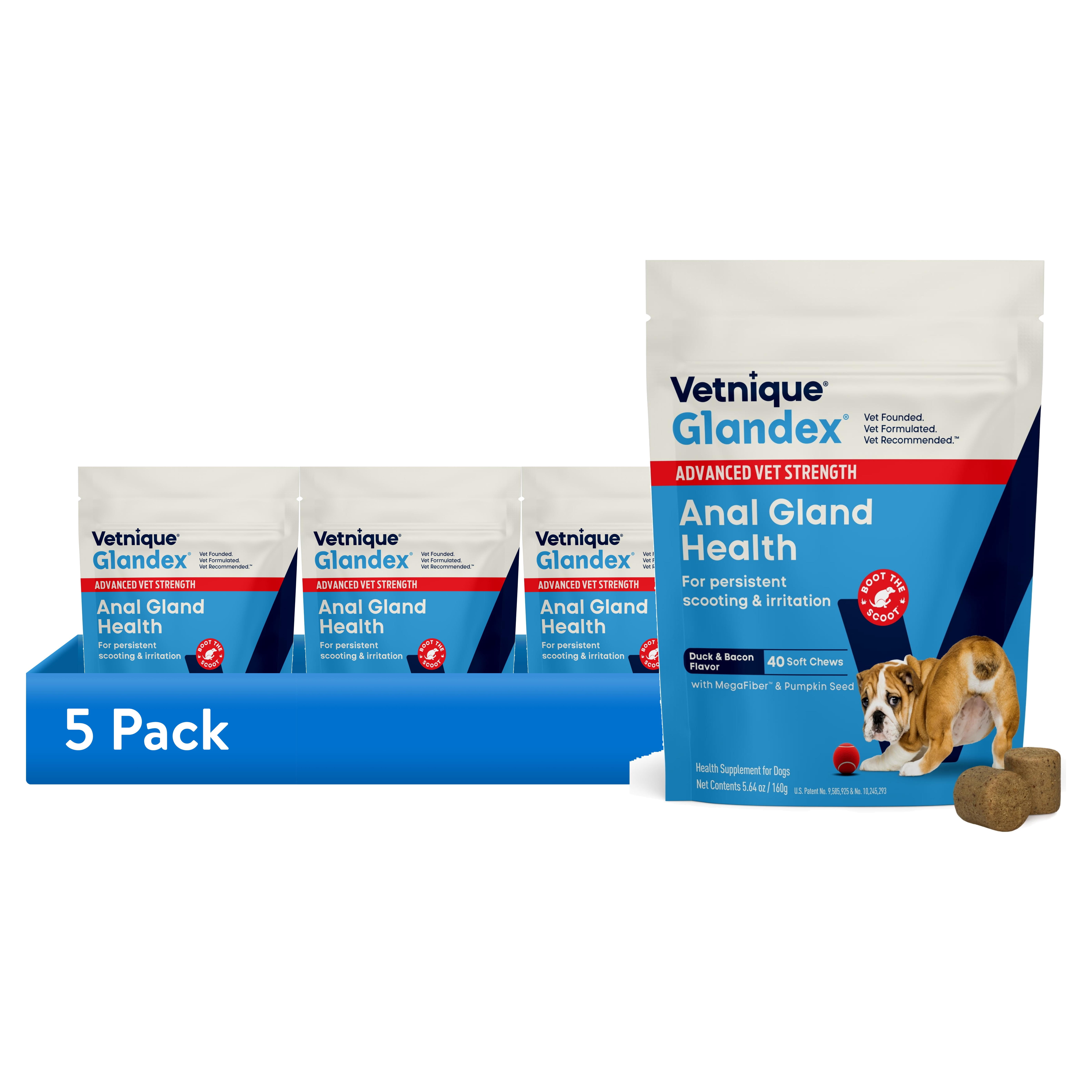 (5 pack) Vetnique Labs Glandex Advanced Vet Strength Digestive Health Soft Chews for Dogs, Duck and Bacon Flavored, 40 Count
