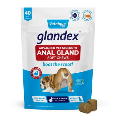 Vetnique Labs Glandex Advanced Vet Strength Digestive Health Soft Chews for Dogs, Duck and Bacon Flavored, 40 Count