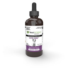 VetriScience Vetri-DMG Immune Health Dog, Cat & Bird Liquid Formula, 28-mL