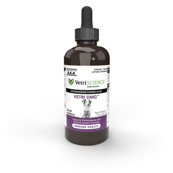 VetriScience Vetri-DMG Immune Health Dog, Cat & Bird Liquid Formula, 28-mL