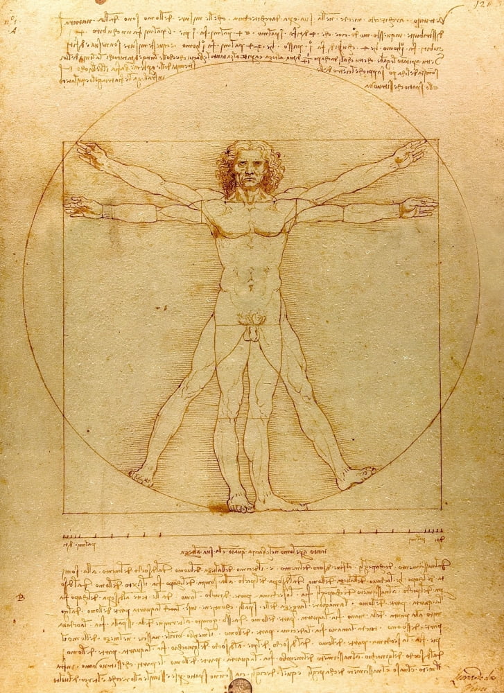 Vetruvian man Canvas Art - Leonardo Da Vinci (24 x 36)
