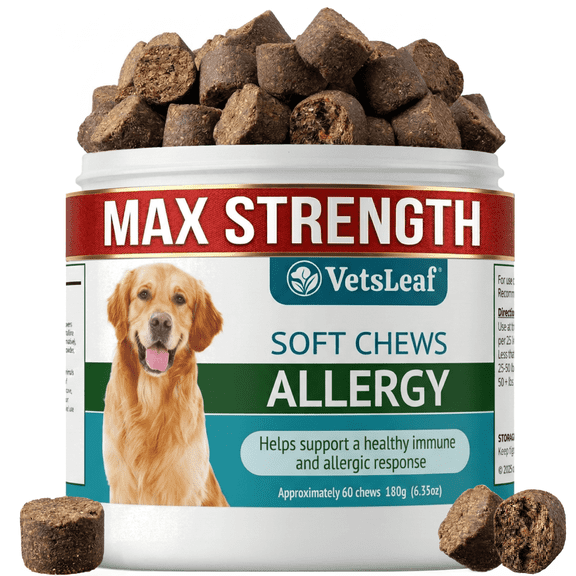 VetsLeaf Dog Allergy Chews for Itchy Skin, Hot Spots, Paw Licking Relief & Itchy Ears – Quercetin, Turmeric, Probiotics & Colostrum – Made in USA – 60 Count