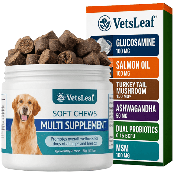 VetsLeaf Dog Multivitamin Chews - Glucosamine, Probiotics, Salmon Oil, Mushroom Blend & Ashwagandha - Daily Dog Vitamins for Immune, Joint, Skin, Gut and Energy Support - Made in USA - 60 Count