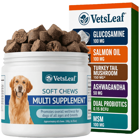 VetsLeaf Dog Multivitamin Chews - Glucosamine, Probiotics, Salmon Oil, Mushroom Blend & Ashwagandha - Daily Dog Vitamins for Immune, Joint, Skin, Gut and Energy Support - Made in USA - 60 Count