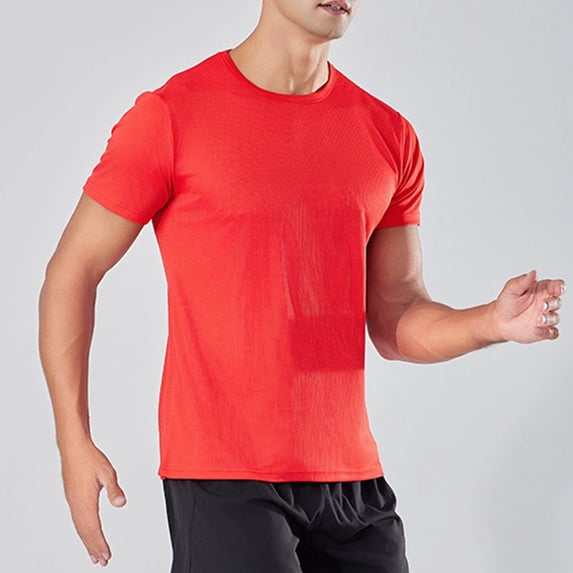 Vetsdori Men's Quick Dry Shirt with Round Neck Short Sleeve in Standard Fit for Running & Casual Wear
