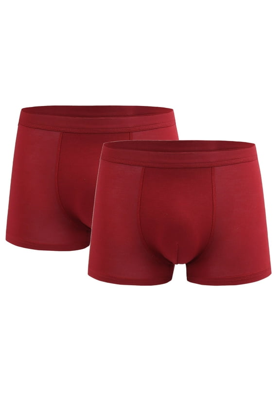 Mens Boxer Briefs Underwear Pack Shorts Ropa Hombre Shorts Trunks Carsonsillos 2 Pieces Underwear for Men Breathable