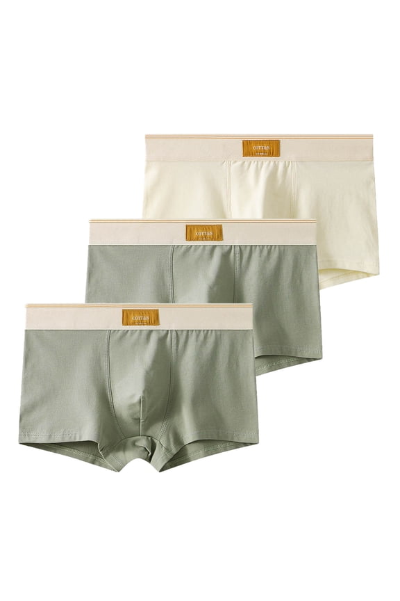 Pack Underwear for Men Cotton Boxer Briefs 3 PC Ropa Hombre Soft and Cozy Breathable Shorts Trunks Summer Mens Underwear
