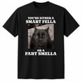 thumbnail image 1 of Veylor Haus Funny Cat Meme Graphic – Smart Fella Humor Tee, Unisex Cotton Short Sleeve, 1 of 9