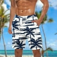 thumbnail image 1 of VgaVtl Mens Shorts Beach Summer Mens Shorts Plus Size Drawstring Regular Hawaii Casual Graphic Shorts,Black XXL, 1 of 5