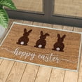 thumbnail image 1 of Vggrvlo Easter Decorative Doormat Easter Door Rug Holiday Floor Decor Happy Easter Non Slip Coir Doormat Welcome Rug Indoor or Outdoor 16"X24", 1 of 7