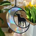 thumbnail image 1 of Vggrvlo Stained Glass Window Hanging Black Dog Decor Suncatcher Angel Dog Memorial Gifts for Loss of Dog Sympathy Gift Memorial Gifts for Loss of Dog, 1 of 7