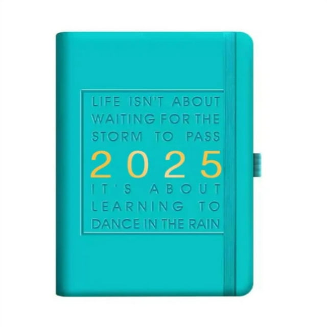 ViLaViDe 2025 Schedule 365 Day Planner Is Time Efficiency Manual That