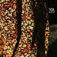 thumbnail image 1 of Via - First - CD, 1 of 1