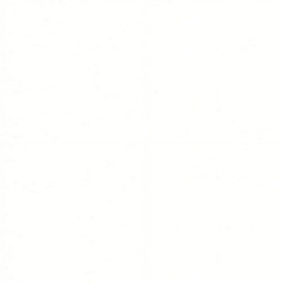 Via Inc Print Paper, 8.5 x 11 inches, White, 250 Sheets