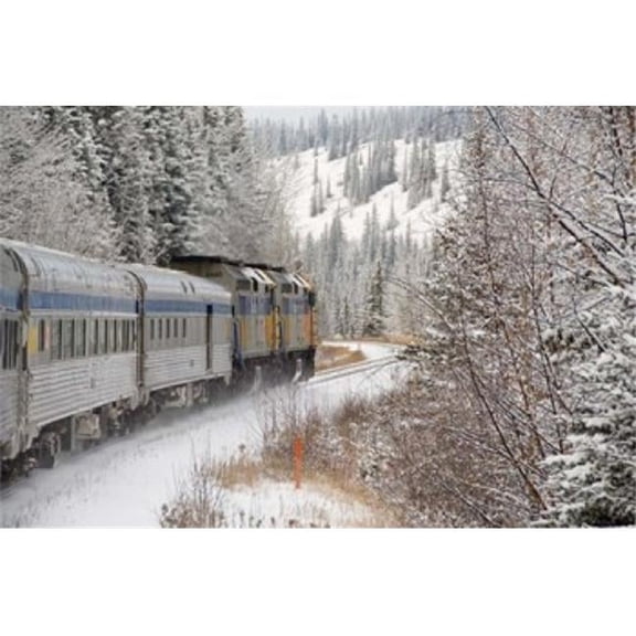 Via Rail Snow Train Between Edmonton & Jasper Alberta Canada Poster Print by Cindy Miller Hopkins