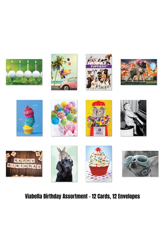 Birthday Card Assortment - 12 Cards, 12 Envelopes