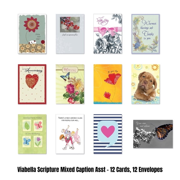 Viabella Scripture All Occasions Card Asst - 12 Cards, 12 Envelopes