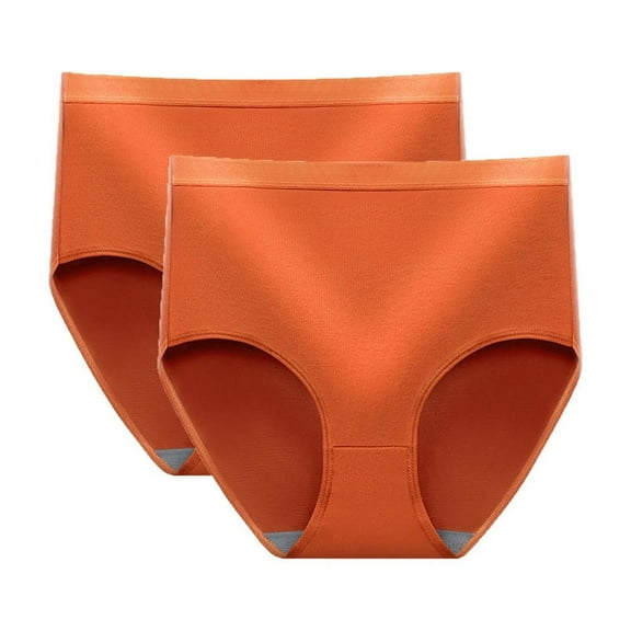 Viadha Women's Cotton Underwear Menstrual Anti-Leakage Menstrual Pants Cotton High Waist Waist Women's Physiological Pants 2PC