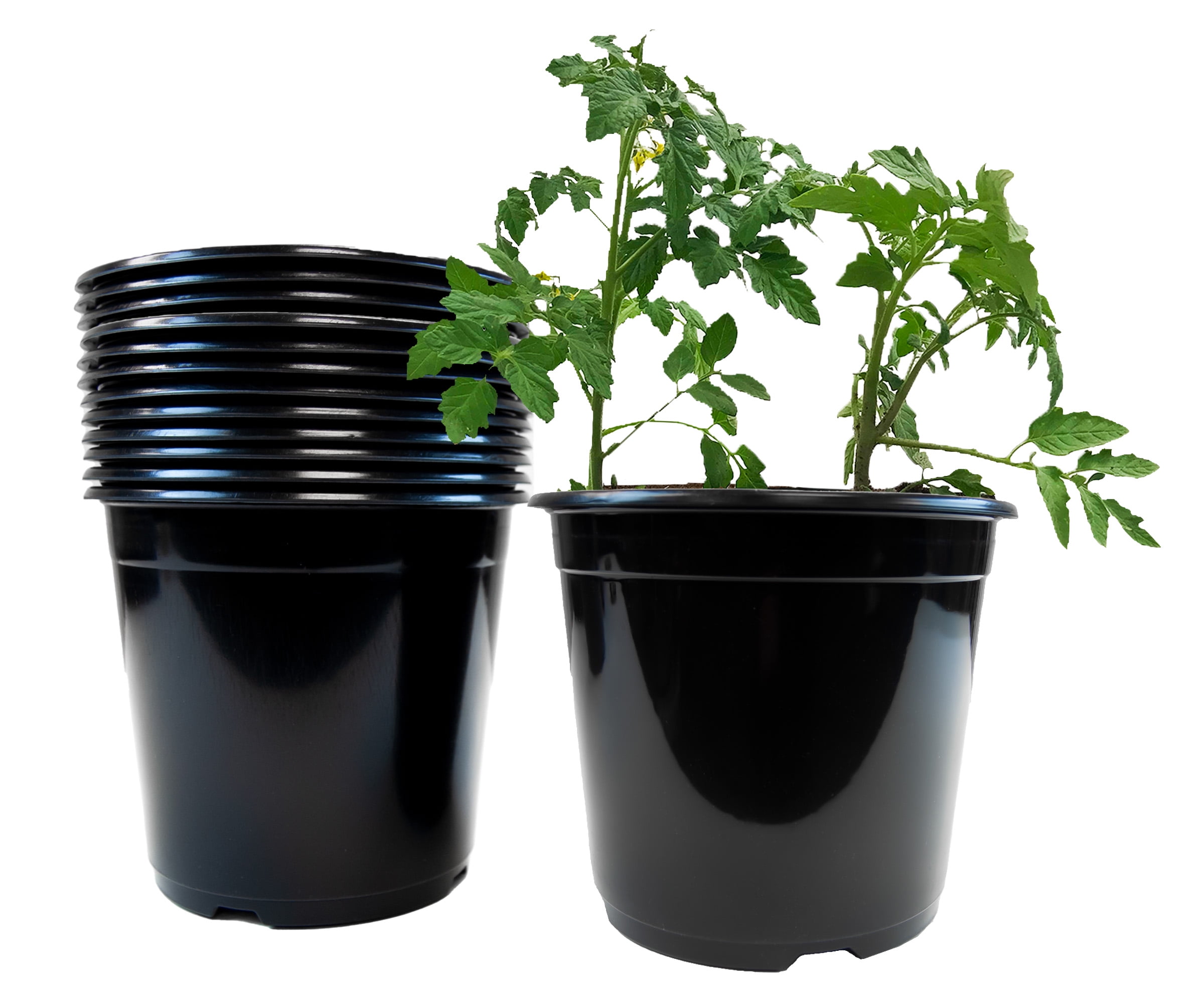 Viagrow Nursery Pots, 2 Gallon Plant Pots, 12Pack, BPA Free and Food