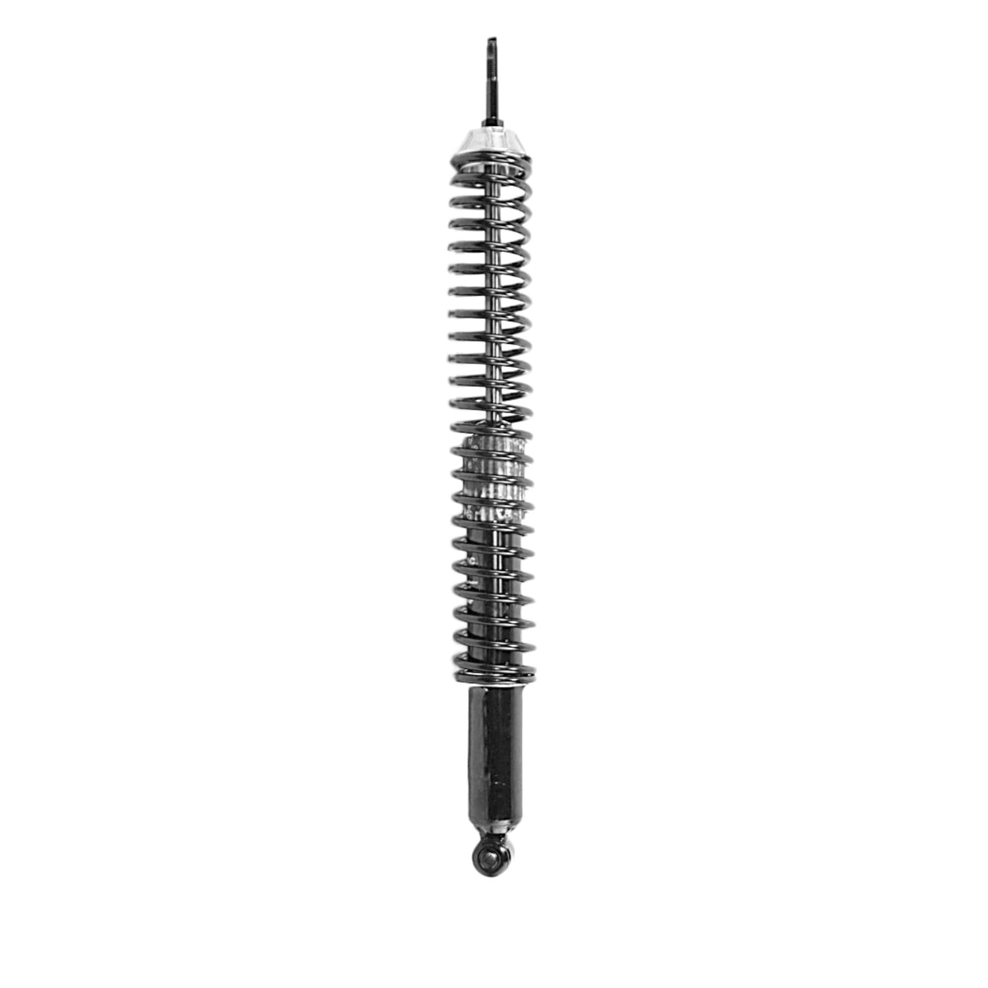 Vialiso VL2032438 Rear Suspension Strut and Coil Spring Assembly Compatible With/Replacement For Ford F-150 1997 - 2003, F-150 Heritage 2004