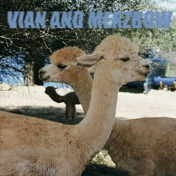 Vian,Pedro & Merzbow - Inside Richard Serra Sculptures - Music & Performance - Vinyl