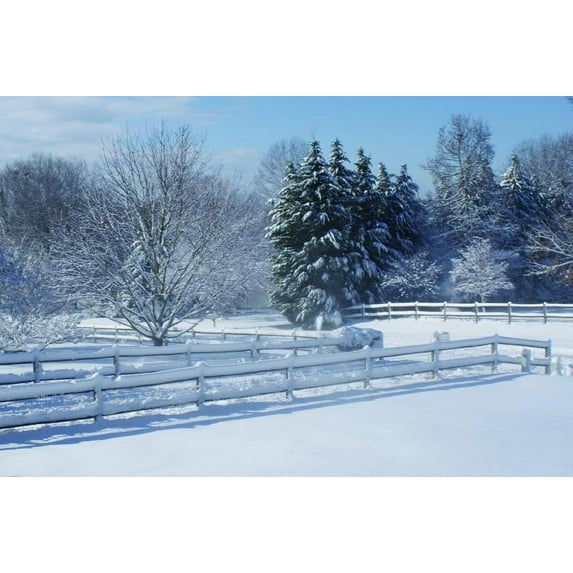 Viar Snow Wall Decal
