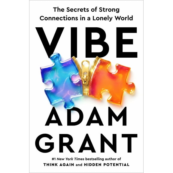 Vibe: The Secrets of Strong Connections in a Lonely World (Hardcover)