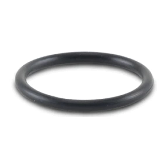 Vibrant -017 O-Ring for Oil Flanges