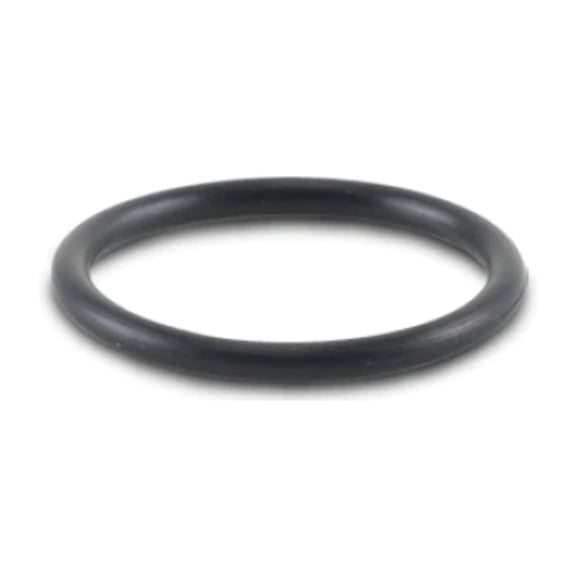 Vibrant -017 O-Ring for Oil Flanges