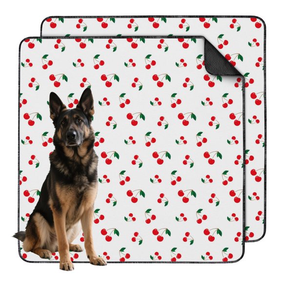 Vibrant 48"x48" Fruit Patterns Print Washable Pee Pads, Reusable Potty Training Pads for Dogs with Non-Slip Bottom for Indoor Use