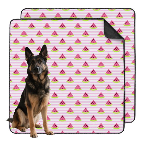 Vibrant 48"x48" Fruit Patterns Print Washable Puppy Pads, Reusable Dog Pee Pads with Non-Slip Backing for Indoor Application
