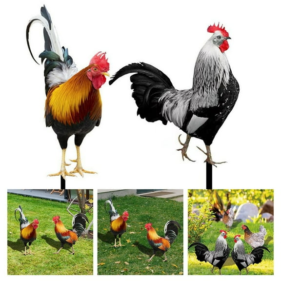 Vibrant Acrylic Rooster Sculpture Outside Statues For Yard Outdoor Garden Statues Home Decor Handcrafts Figurine Garden Patio B Smile Home