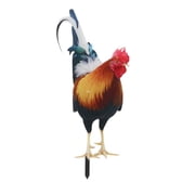 Vibrant Acrylic Rooster Sculpture Outside Statues For Yard Outdoor Garden Statues Home Decor Handcrafts Figurine Garden Patio