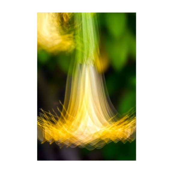 Vibrant Bellflower Harmony - Photography Abstract Flowers Modern Art Psychedelic Floral Nature Surrealism Unframed Wall Art Print 4 x 6 inches
