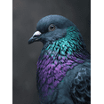 thumbnail image 1 of Vibrant Bird Portrait Canvas Print Apartment Wall Art, 1 of 8
