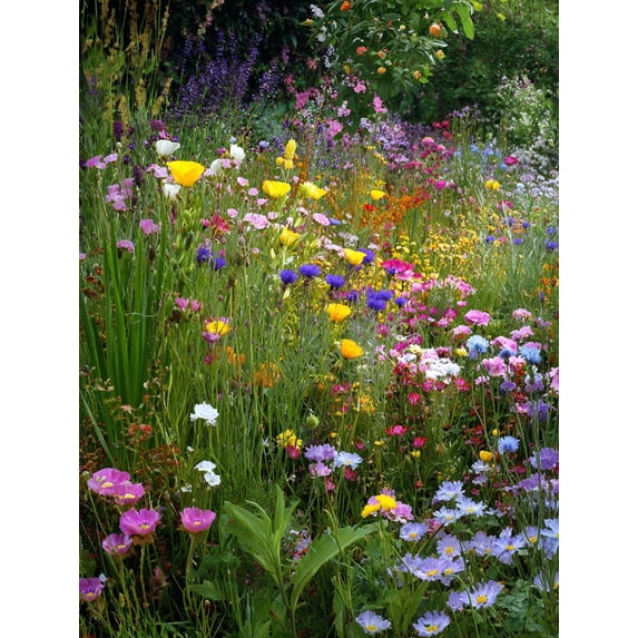 Vibrant Floral Impressionism Canvas Print Wall Art, Decor for Living Room Bedroom Dining Room Entryway Office