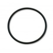 Vibrant For Replacement O-Ring for 4in Weld Fittings (Part #12548) | 12548R