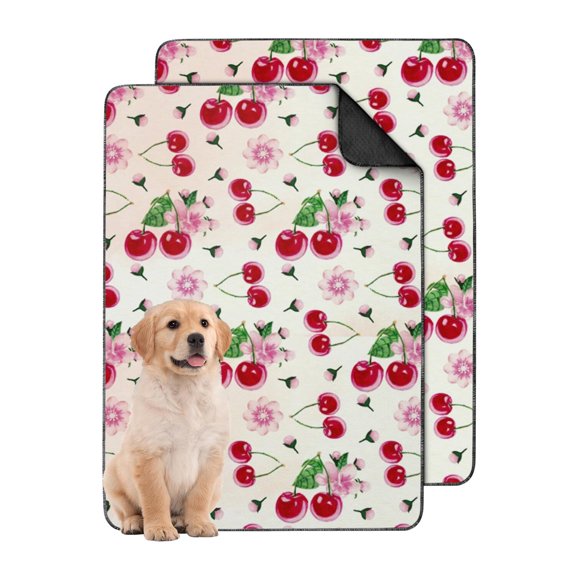 Vibrant Fruit Print 24"x35" Washable Dog Pee Pads, Reusable Puppy Training Pads with Non-Slip Backing for Crate Lining and Use