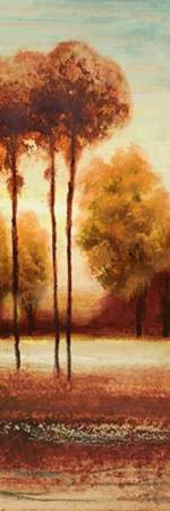 Vibrant Land II Canvas Art - Michael Marcon (12 x 36)