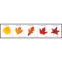 Vibrant Leaves POSTCARD RATE USPS Postage Stamp 1 Sheet of 20 US First Class Forever Celebration Announcement Wedding Fall Holiday (20 Stamps)