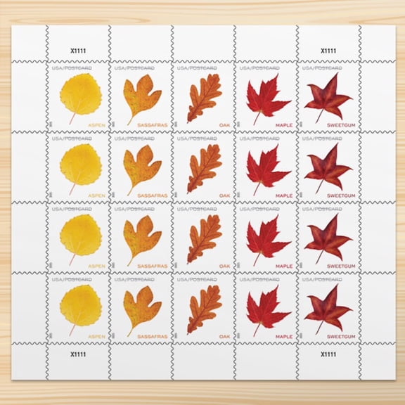 Vibrant Leaves POSTCARD RATE USPS Postage Stamp 1 Sheet of 20 US First Class Forever Celebration Announcement Wedding Fall Holiday (20 Stamps)
