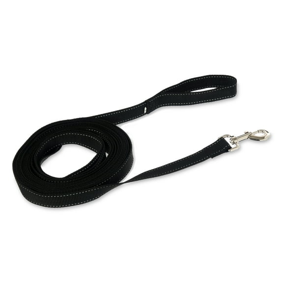 Vibrant Life 20' Polyester Slip Lead Dog Leash, Black, L
