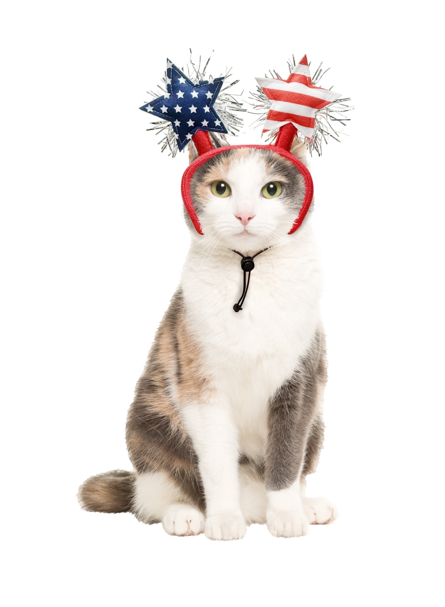 Vibrant Life Stars Pet Headband for 4th of July, Red White Blue, Medium/Large