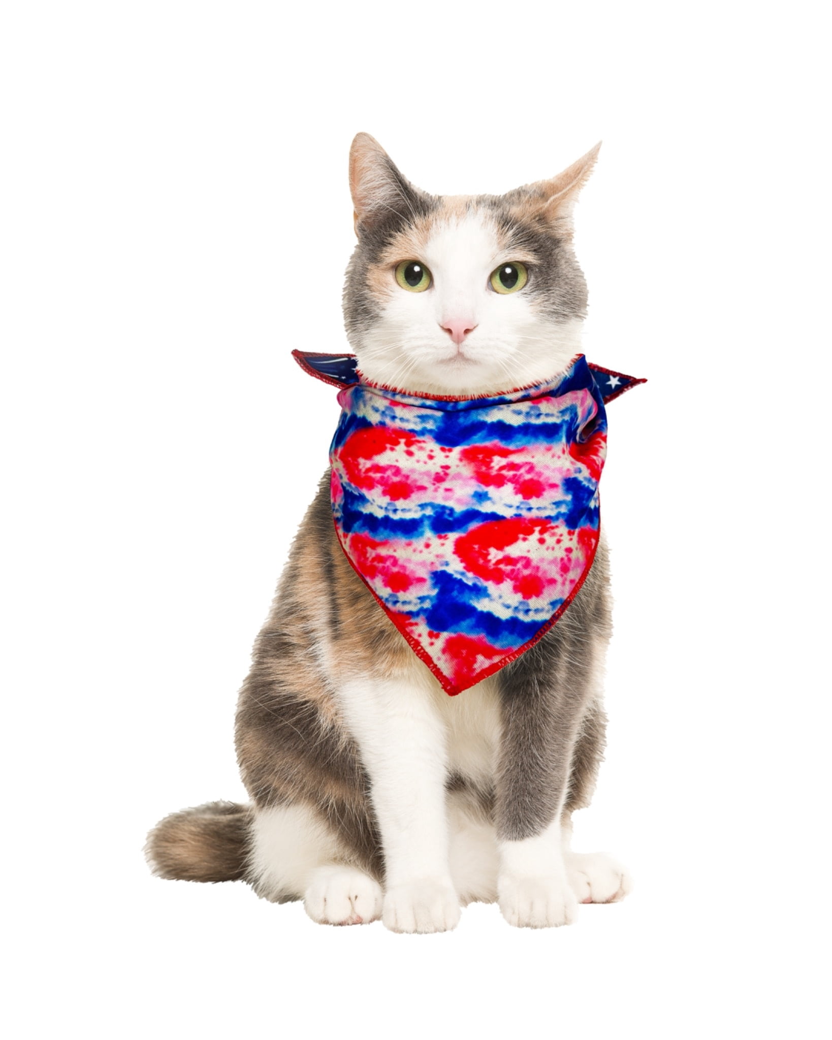 Vibrant Life 4th of July Reversible Pet Bandana, Fireworks/Tie-Dye, Medium/Large