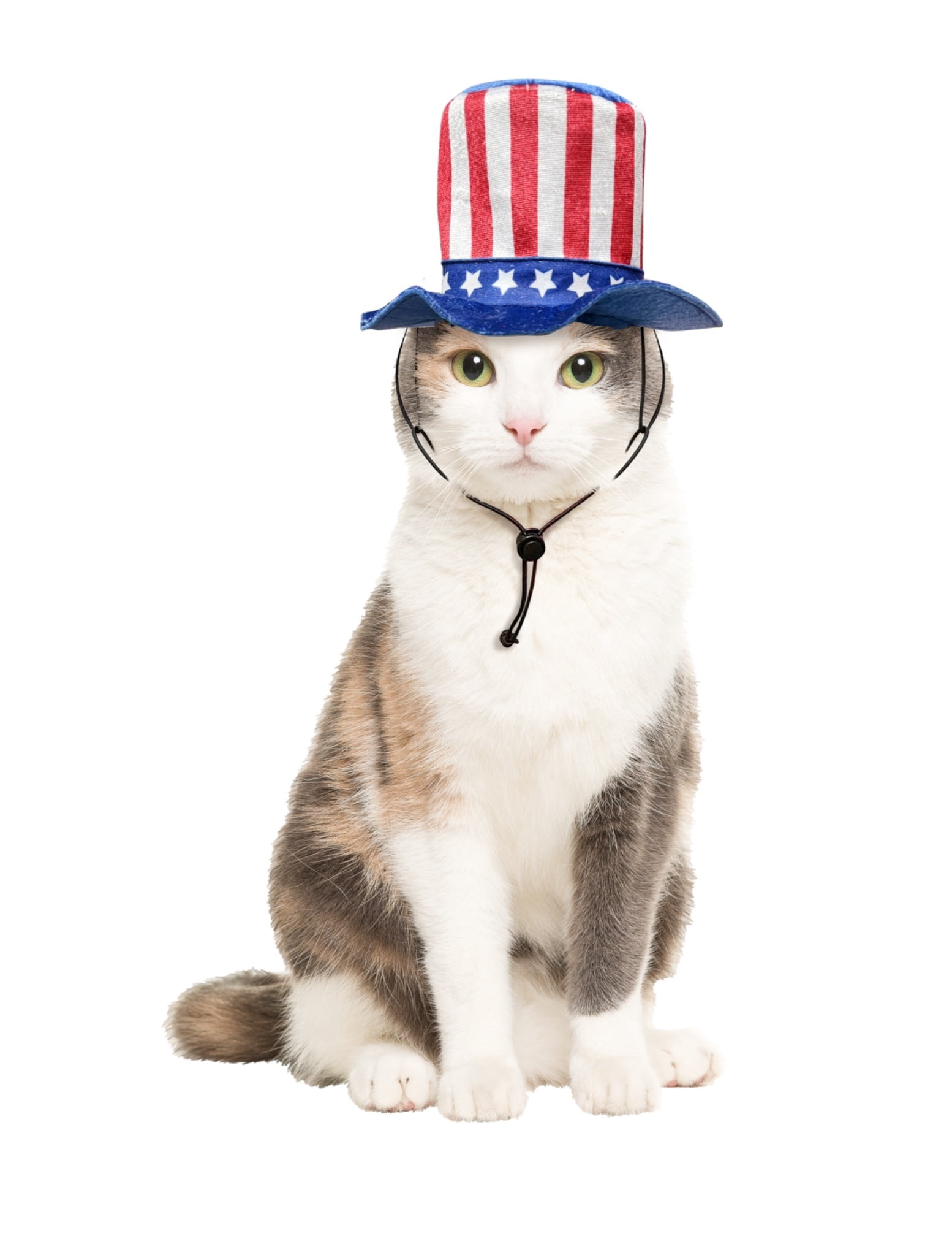 Vibrant Life 4th of July Uncle Sam Pet Top Hat, Medium/Large